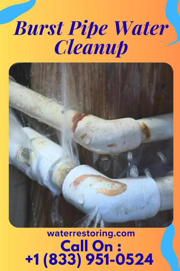 Burst Pipe Water Cleanup in Garden City, NY