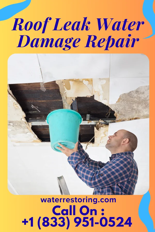 Roof Leak Water Damage Repair in Garden City, NY
