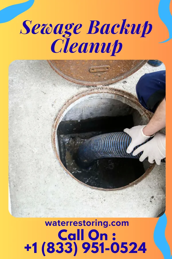 Sewage Backup Cleanup in Garden City, NY